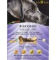 Biscotti per cani Biscosso 300 g Rolls Rocky