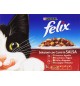 FELIX BUSTINE IN SALSA 10 PZ DA 100 gr