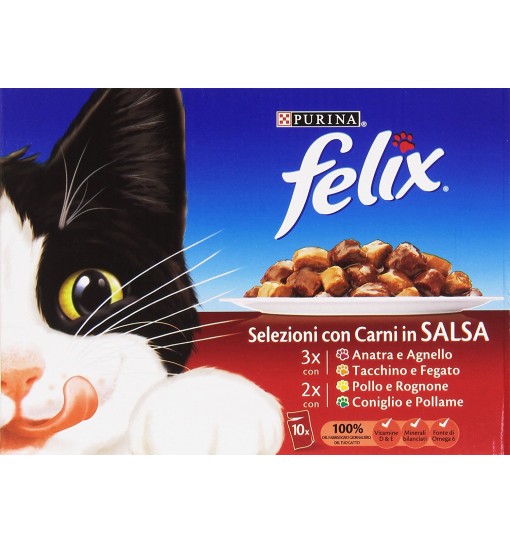 FELIX BUSTINE IN SALSA 10 PZ DA 100 gr