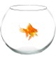 Boccia per pesci rossi da 20 cm in Vetro