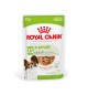 Royal Canin XS adult umido 85 gr