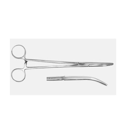 Pinza Inox con punta curva cm 20