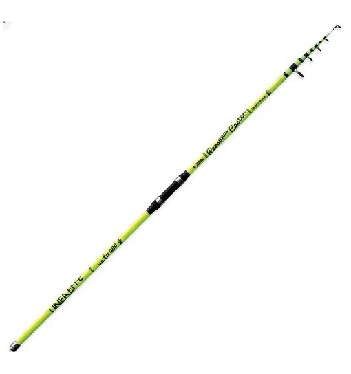 Combo Canna Personal Caster WWG Surf Casting mt 4,20 gr 200 + Mulinello Sea Explorer 7000 3 cuscinetti