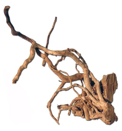 Legno SpiderWood taglia S (10-30 cm)
