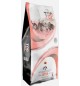 TOP Gatto Kitten Pollo 2 kg
