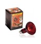 Lanpada infrarossi riscaldante 75 W 8 cm