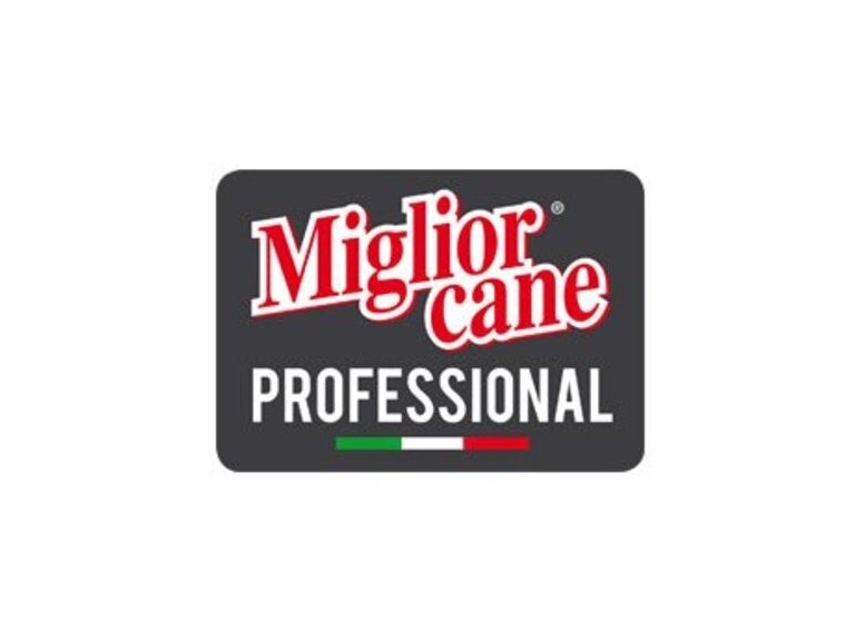  Miglior cane