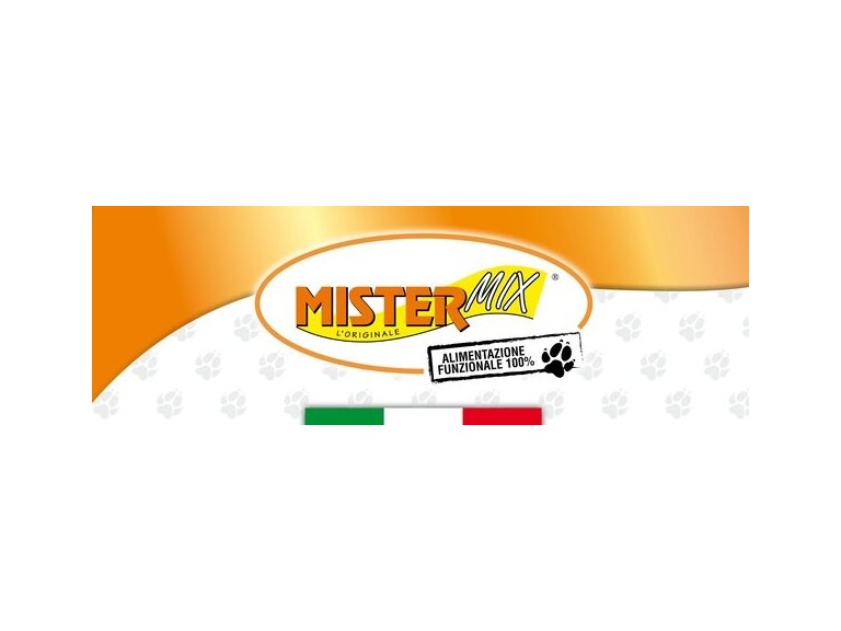  MISTER MIX