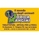Jonica Mangimi